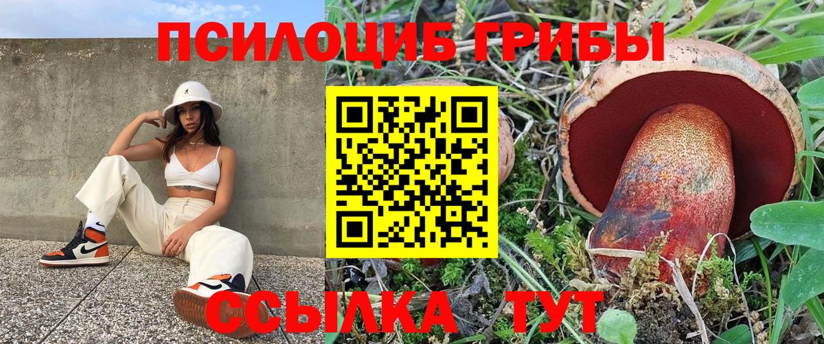 Псилоцибиновые грибы Psilocybine cubensis  Псилоцибиновые грибы Magic Shrooms  Вход с VPN  Симферополь 